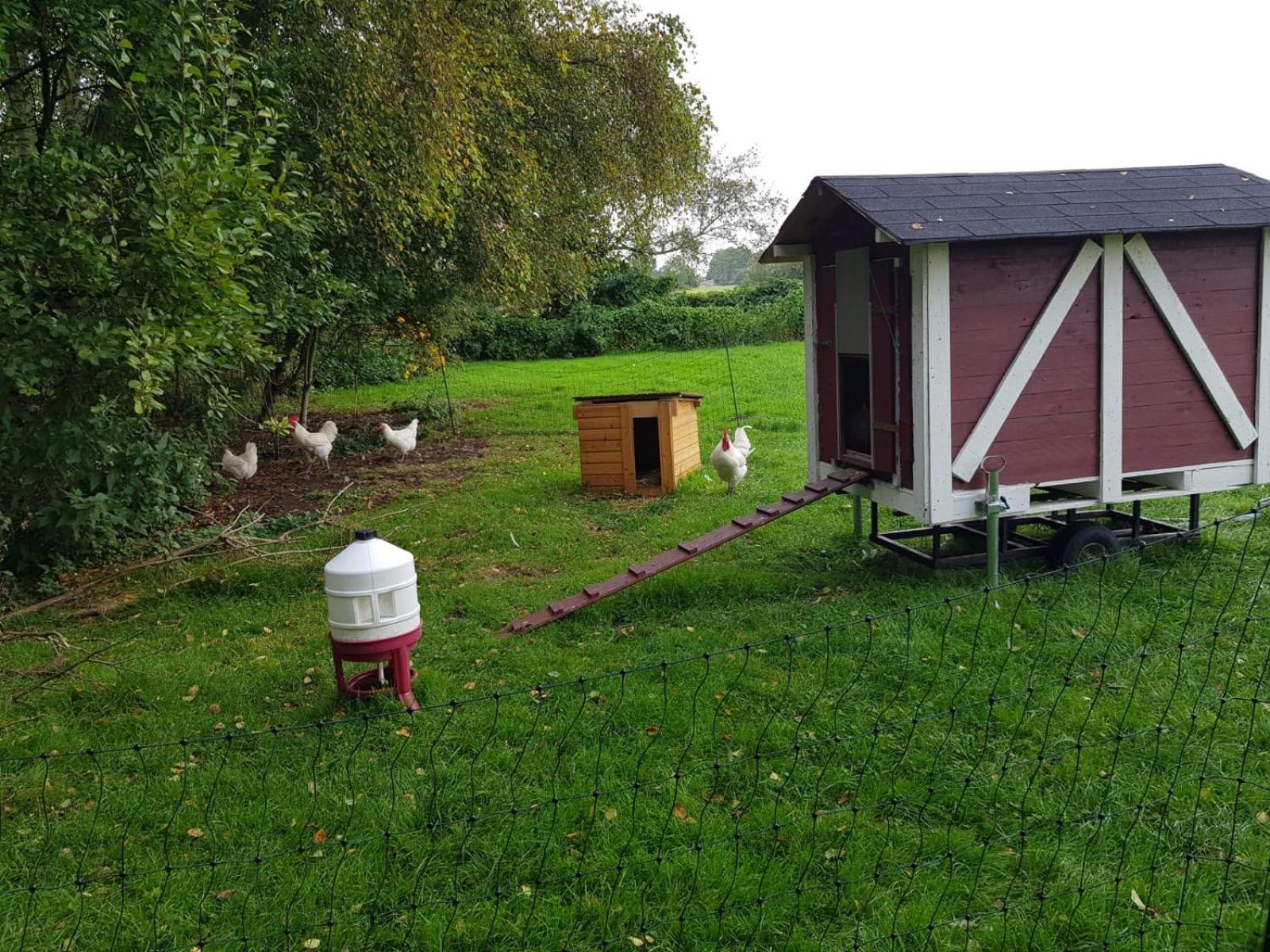 Neu! Landhaus Ostfriesenruhe Berumbur Exteriér fotografie